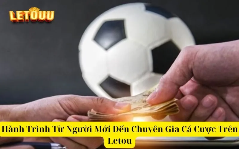 Hành Trình Từ Người Mới Đến Chuyên Gia Cá Cược Trên Letou