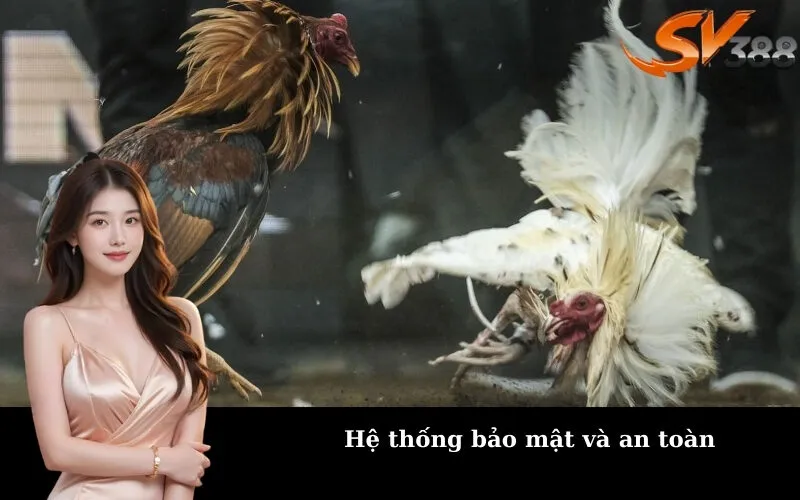 Hệ thống bảo mật và an toàn