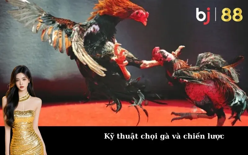 Kỹ thuật chọi gà và chiến lược